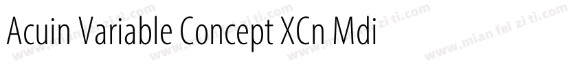 Acuin Variable Concept XCn Mdi字体转换